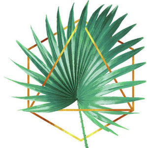 Meet your Posher, Mckinnley